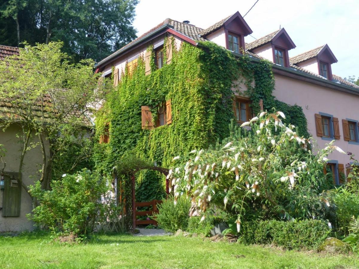 Hotel Domaine Saint Michel D'Alsace Centre Zen Universel à thérapies de bien-être à Le Hohwald Extérieur photo