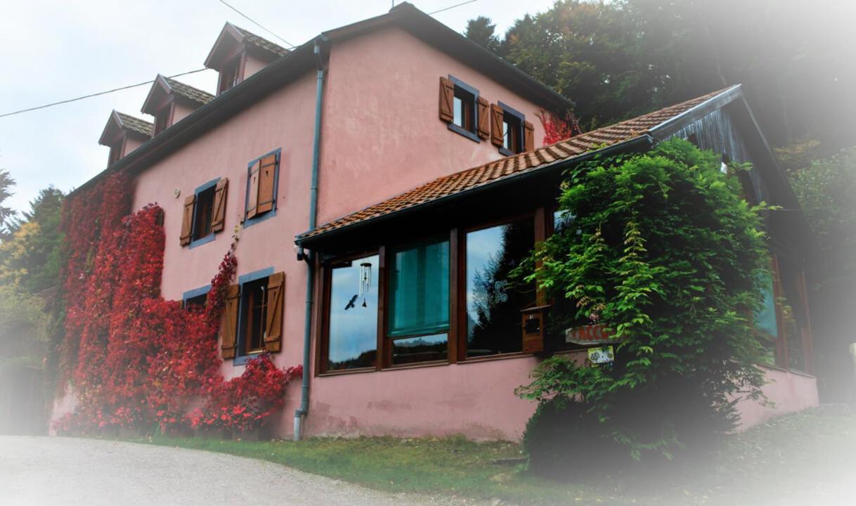 Hotel Domaine Saint Michel D'Alsace Centre Zen Universel à thérapies de bien-être à Le Hohwald Extérieur photo