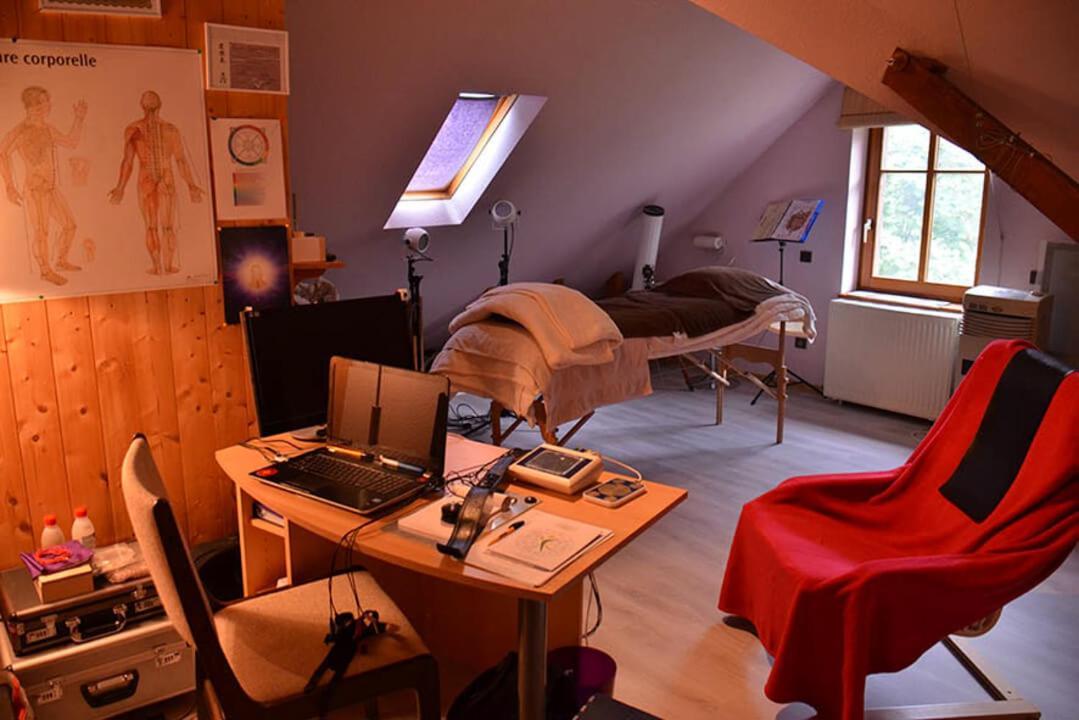 Hotel Domaine Saint Michel D'Alsace Centre Zen Universel à thérapies de bien-être à Le Hohwald Extérieur photo