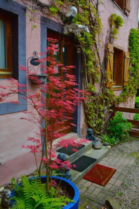 Hotel Domaine Saint Michel D'Alsace Centre Zen Universel à thérapies de bien-être à Le Hohwald Extérieur photo